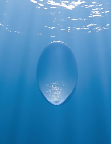 Ellipsoidal bubble, frame 1