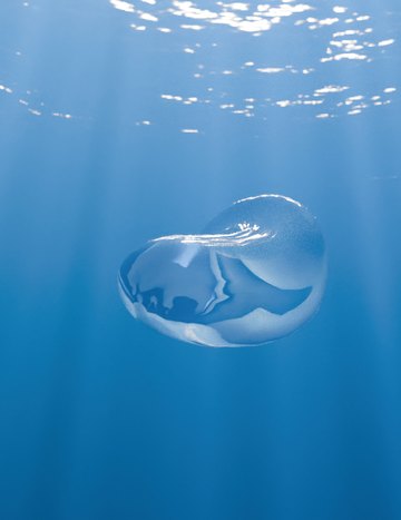 Enright-test bubble, frame 1