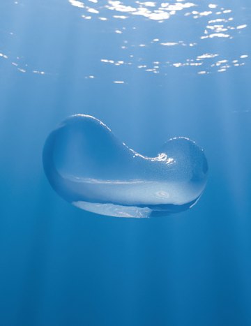 Enright-test bubble, frame 2