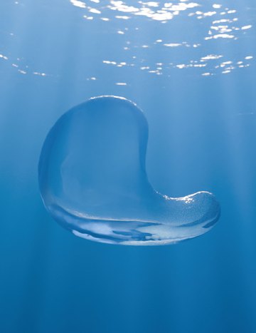 Enright-test bubble, frame 3